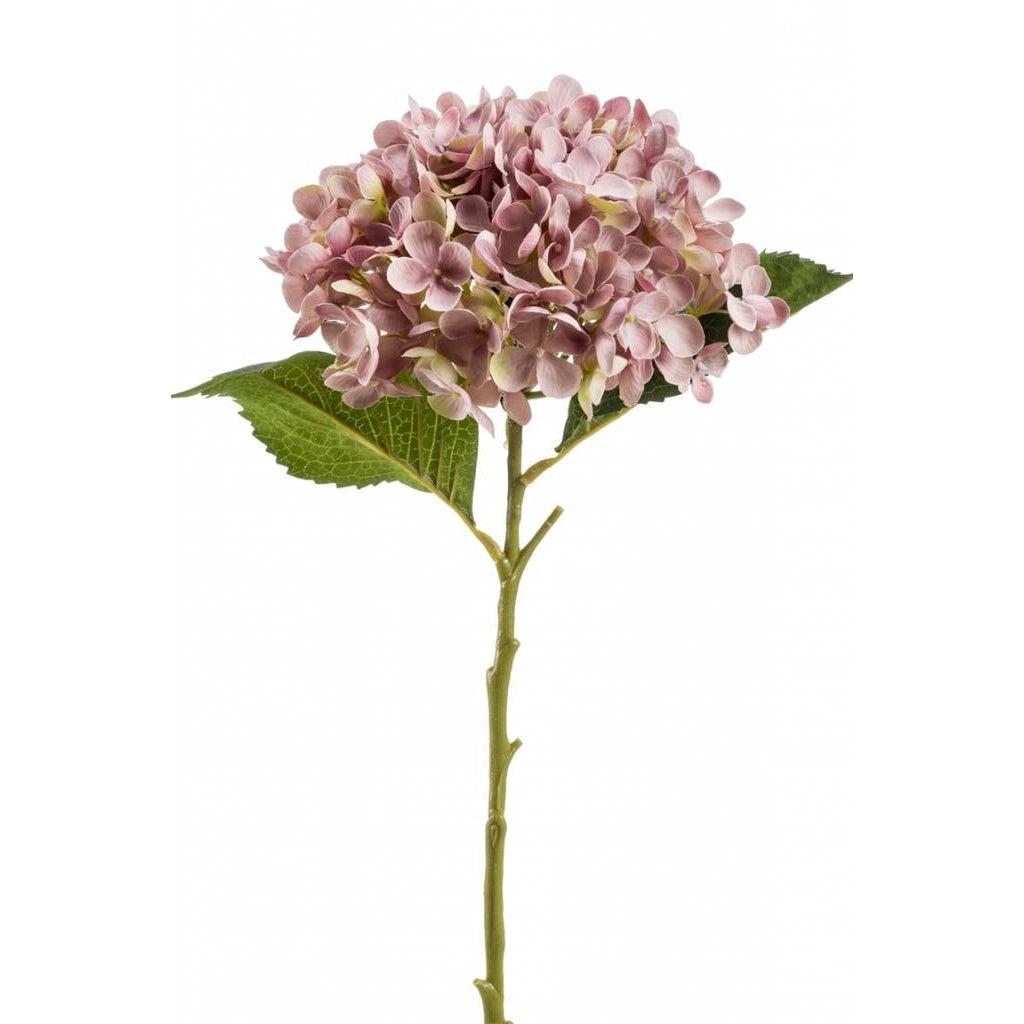 Countryfield Hydrangea roze