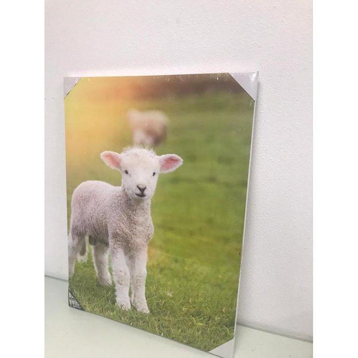 SCHILDERIJ OUTDOOR 6ASS