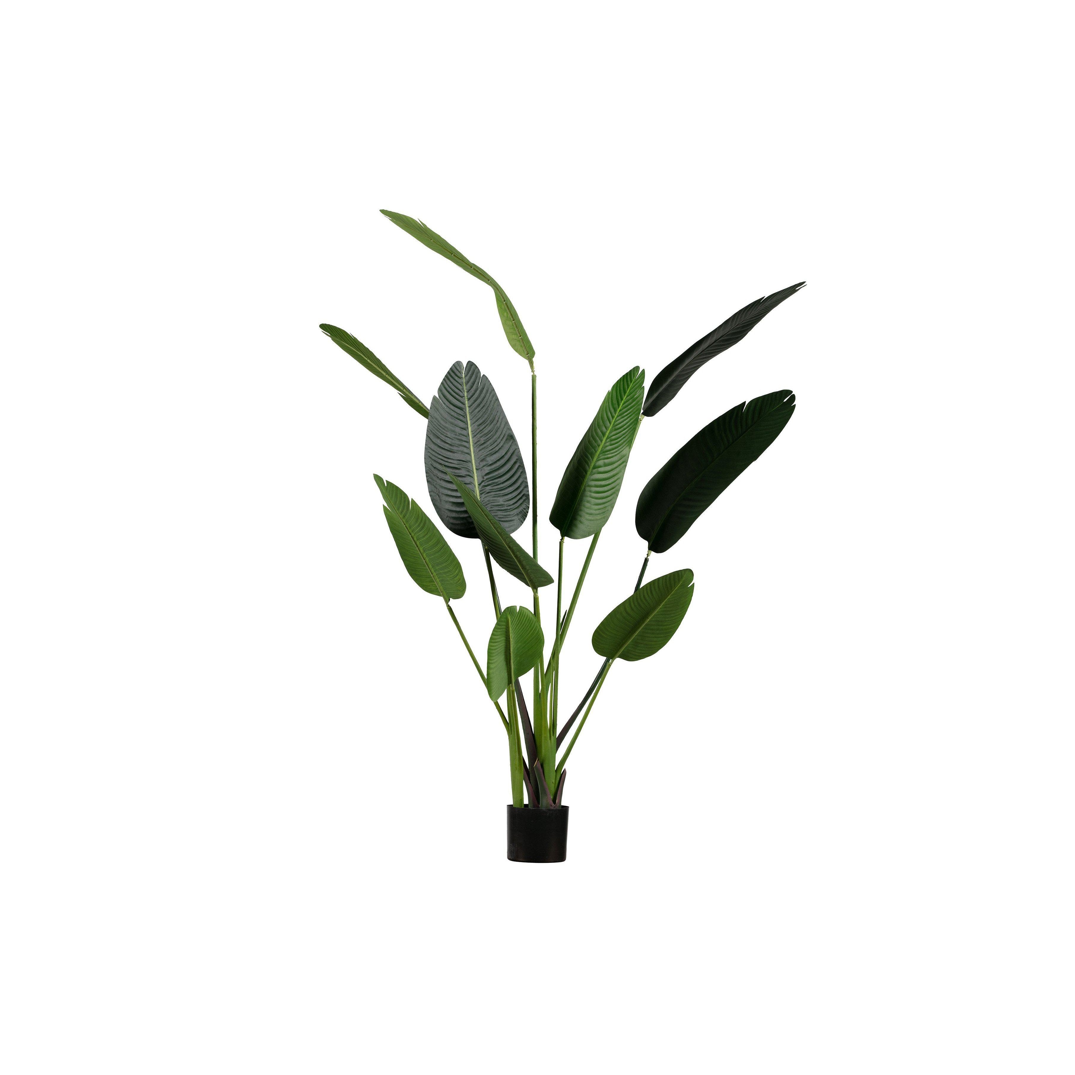 WOOOD Strelitzia kunstplant groen 164cm