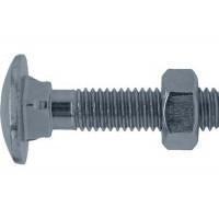 Home-fix slotbout VZ 4.6 + moer DIN603/555 M8x70 (15)