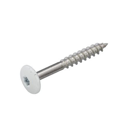 Dak & Gevel kleurkopschroef RVS-A2 wit RAL9010 4.8x25 (50)