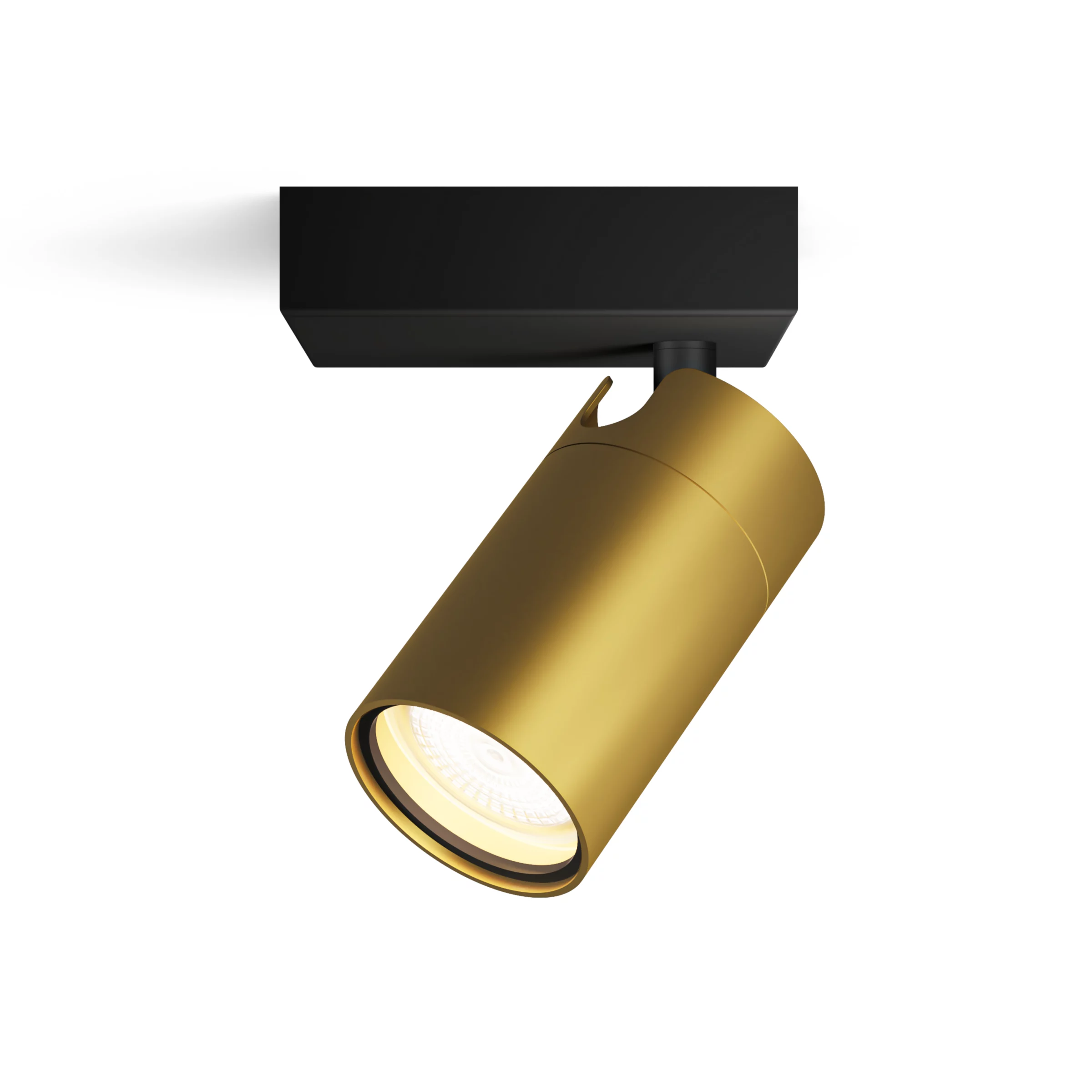 Philips Idris Spot 5W BS IP44 HV