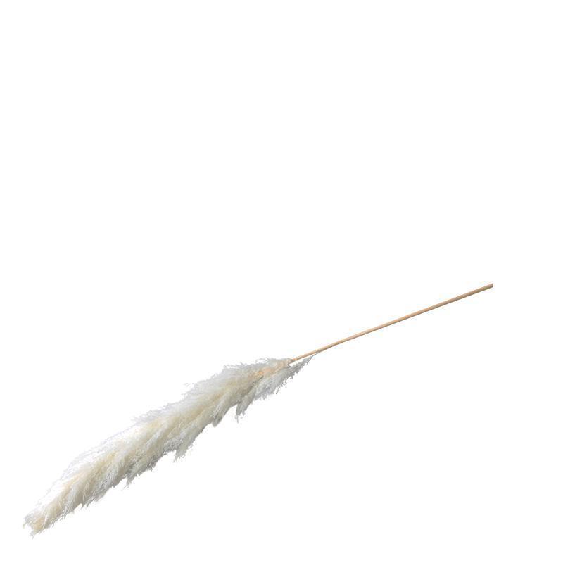 Lifestyle Reed plume white 
