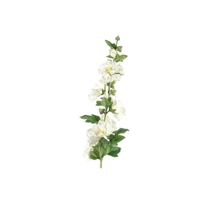 Countryfield Althaea rosea Kathi wit