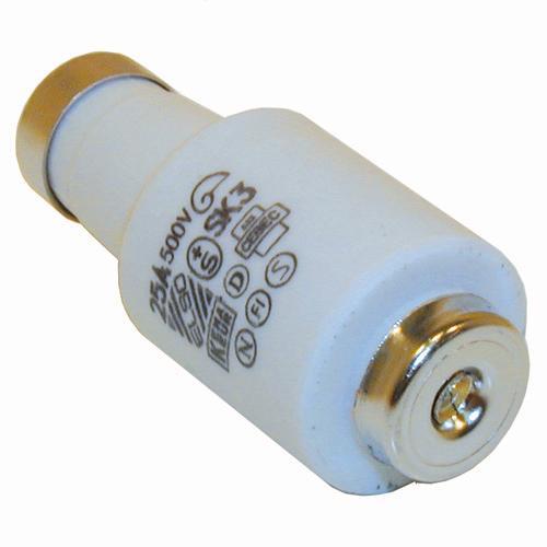 10A traag zekering DII 5 in een doosje