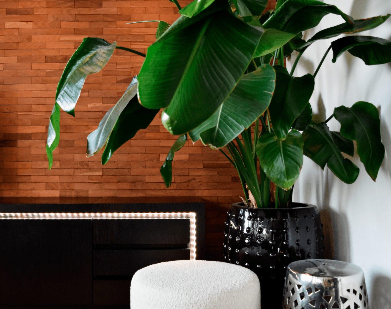 CALEX Smart LED RGBCCT Striplight 6.8W 480lm 2 meter incl. driver