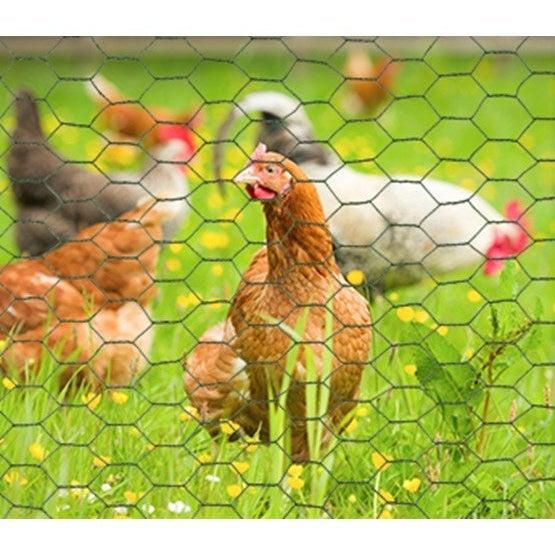 Giardino zeskant geplastificeerd 13 x 1.0mm x 100cm x 10 meter RAL 6005 groen