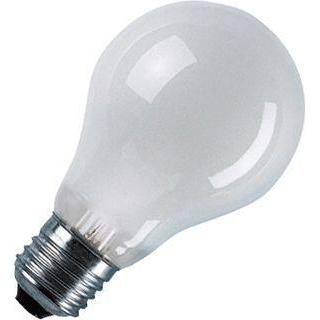 Orbitec 42V gloeilamp mat 60W E27 dimbaar