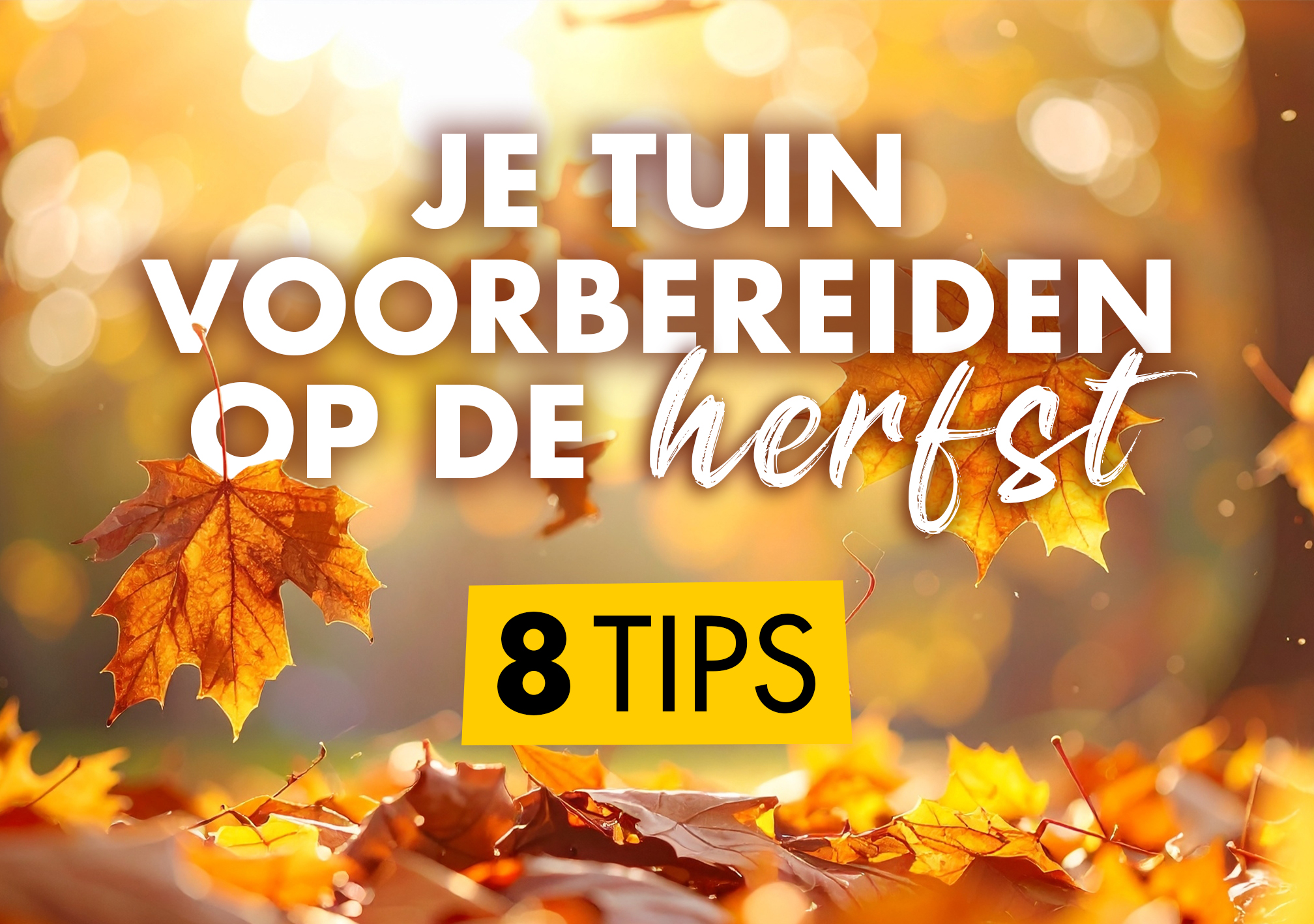 Je tuin voorbereiden op de herfst