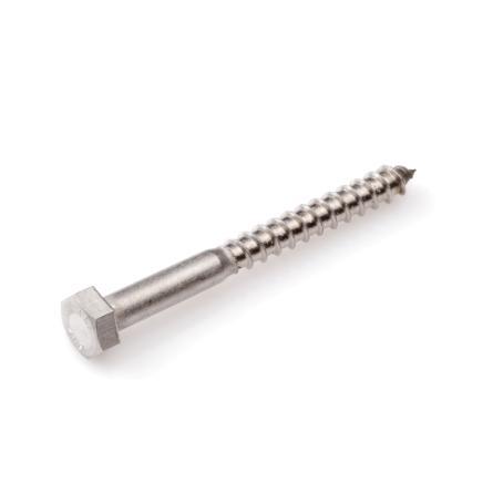 Proftec houtdraadbout RVS-A2 SW-10 DIN571 6x50 (25)