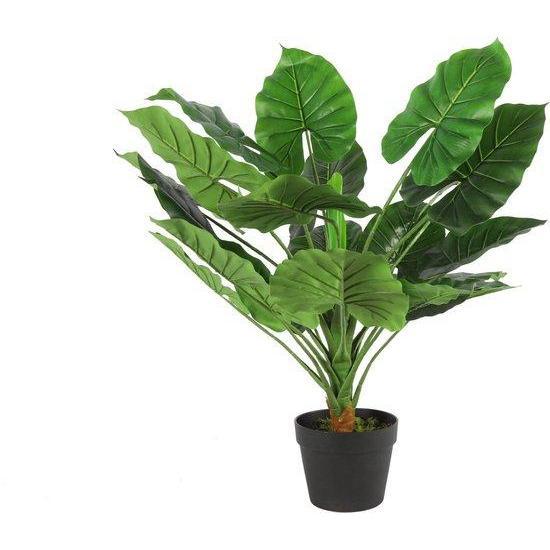 Countryfield Monstera S groen