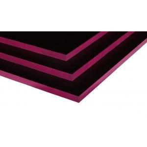 Powerfilm Betonplex 250x125 cm 12 mm EN 636-3