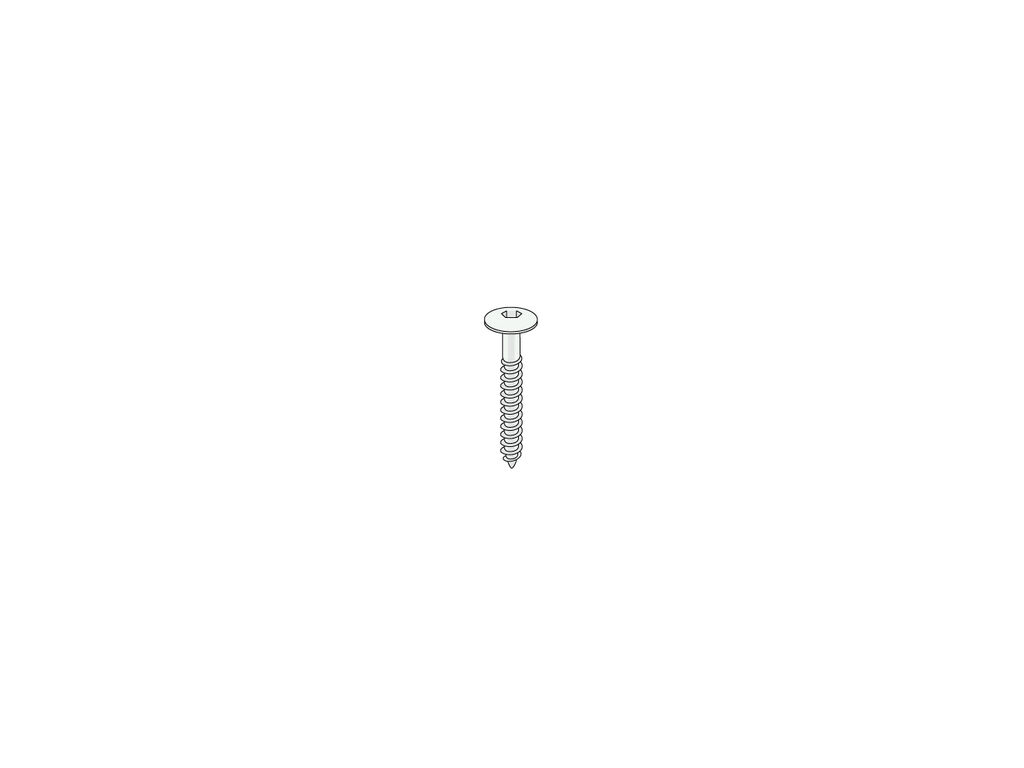 Keralit schroef 30mm torx rvs - 200 stuks