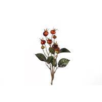 Countryfield Rozenbottel Breona L rood