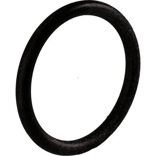 BEER DICHTRING 21.82x3.53 | 16.5530-100