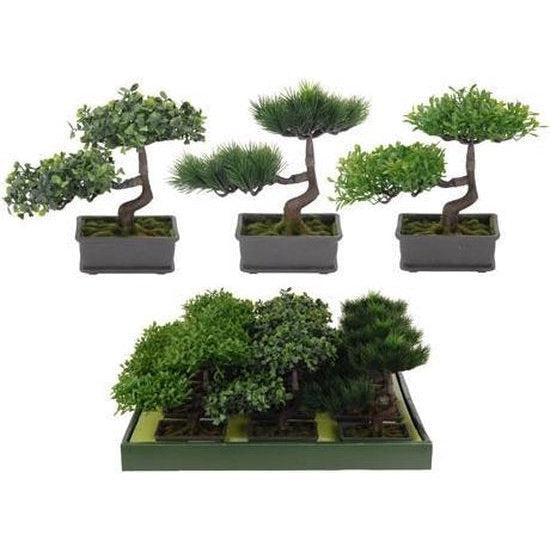 BONSAI