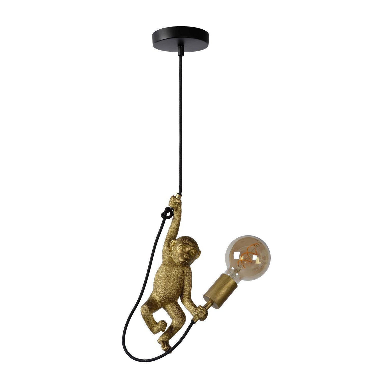 CHIMP. Hanglamp-Zwart-?17,6-1xE27-60W-Kunsts.