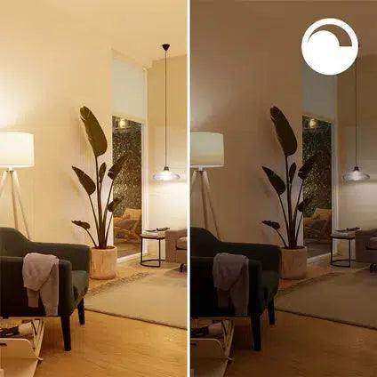 Philips PHI WFB 40W C35 E14 927-65 CL 1PF/6