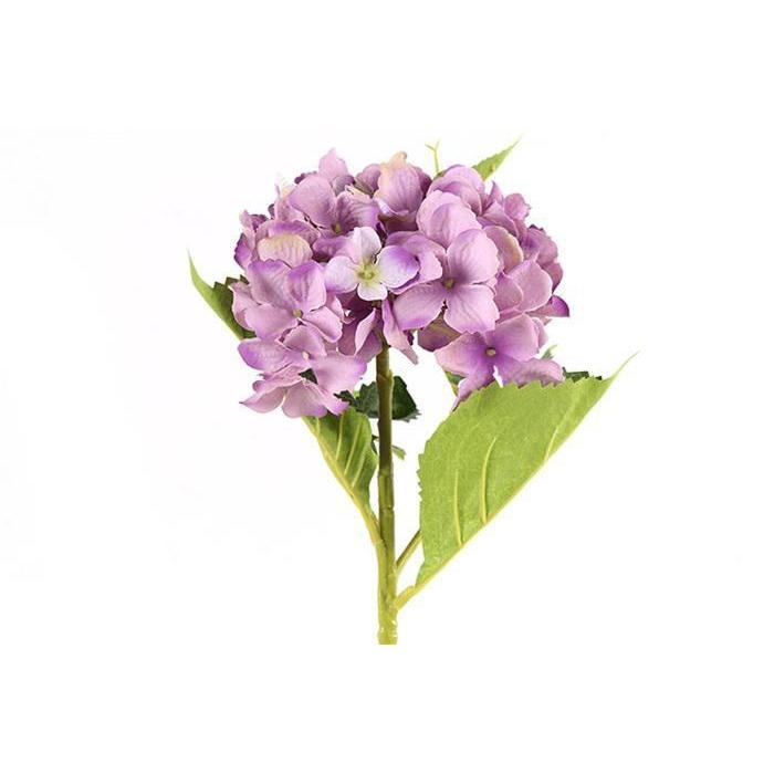 Countryfield Hydrangea violet
