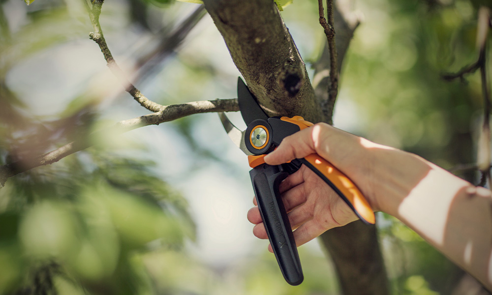 Bouwhof_tuinbenodigdheden_Fiskars